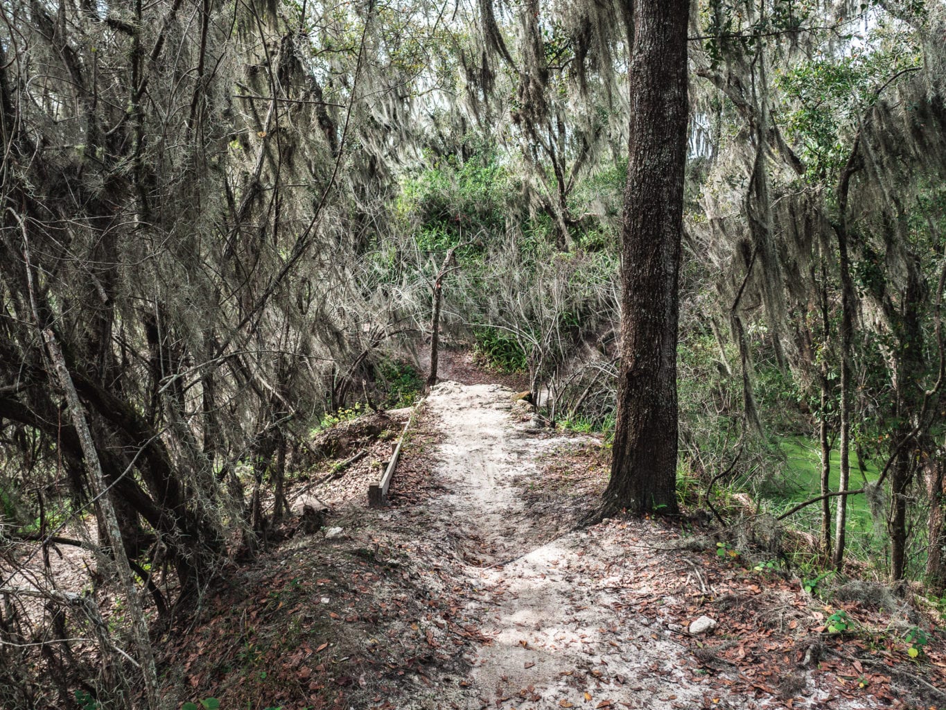 alafia mtb trails