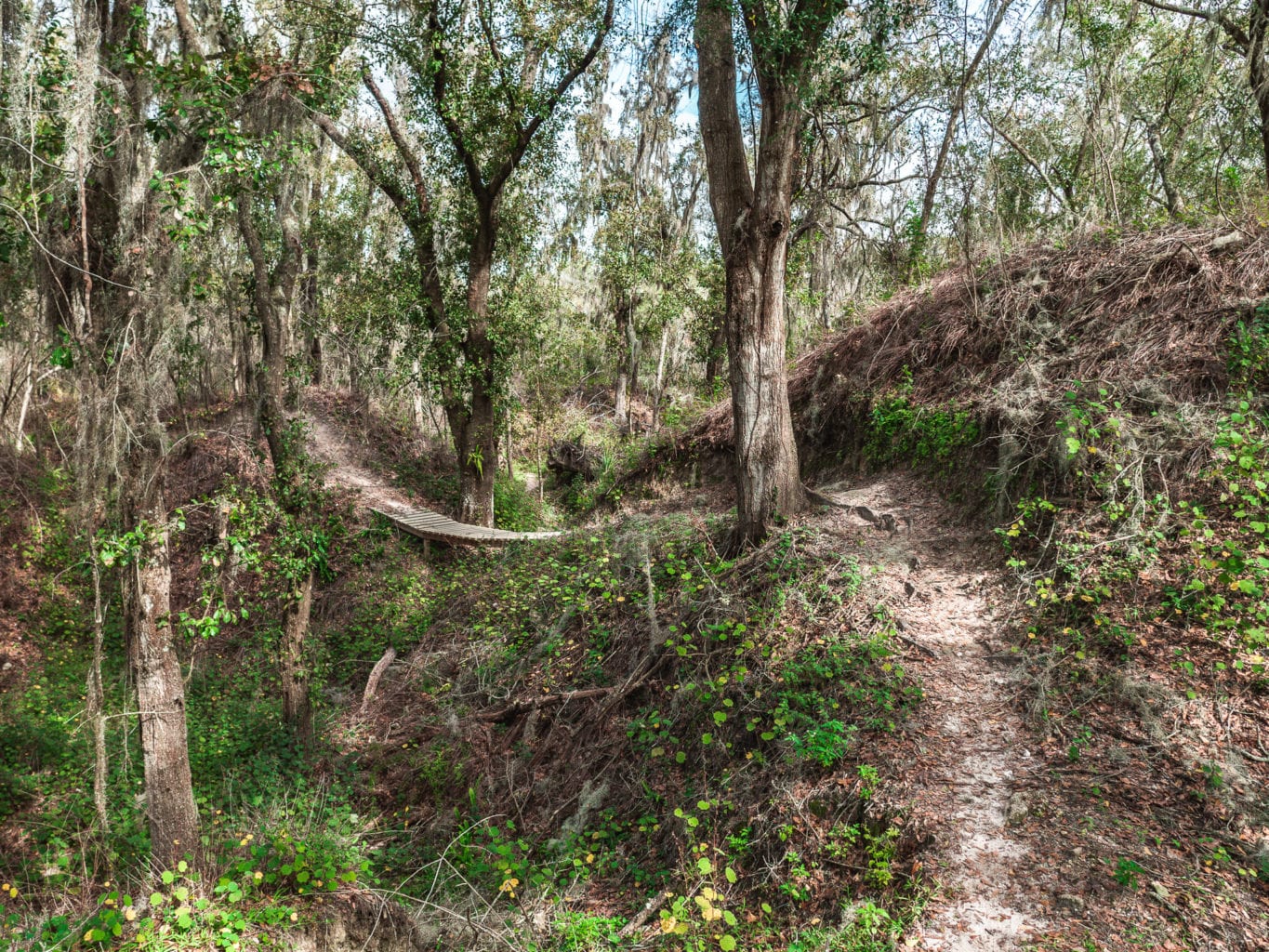 alafia bike trail map