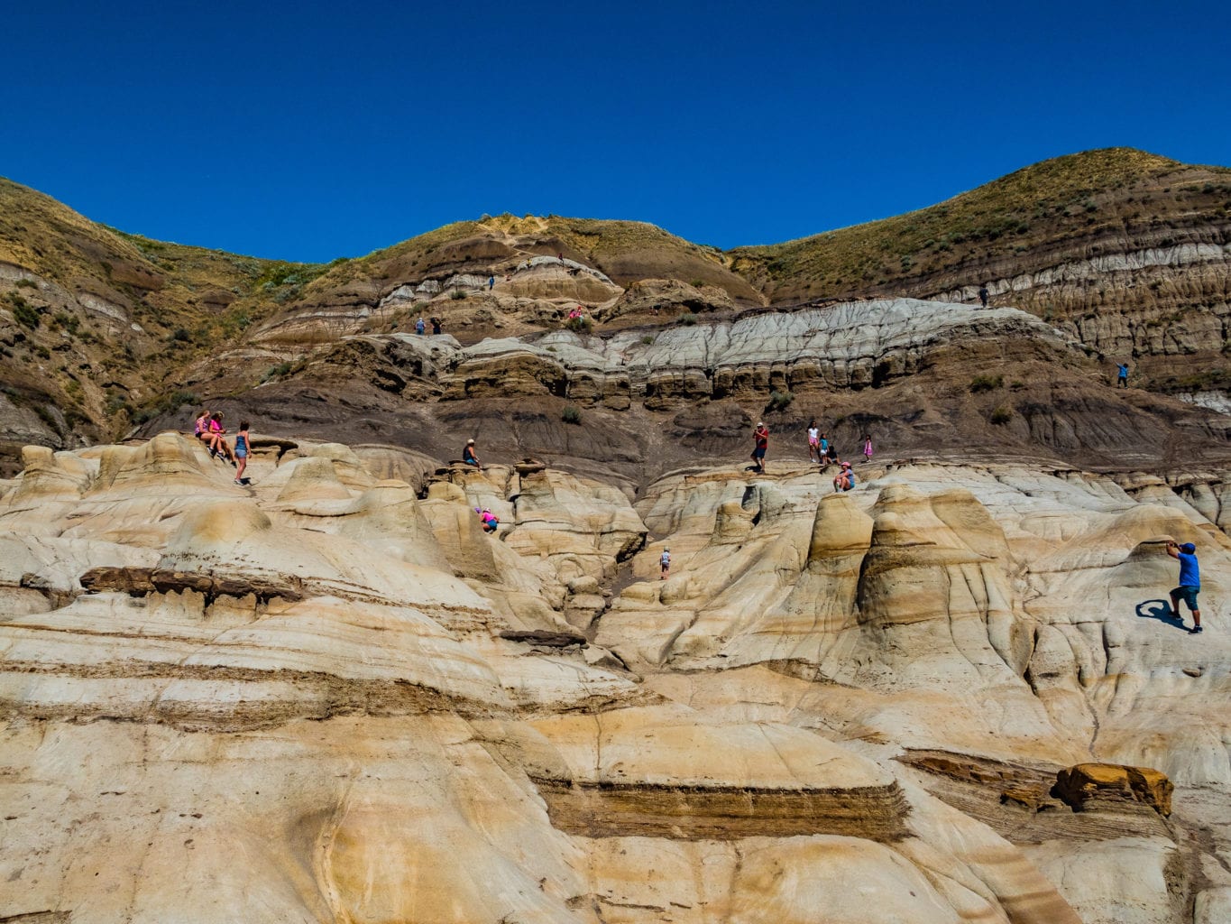 badlands dinosaur dig