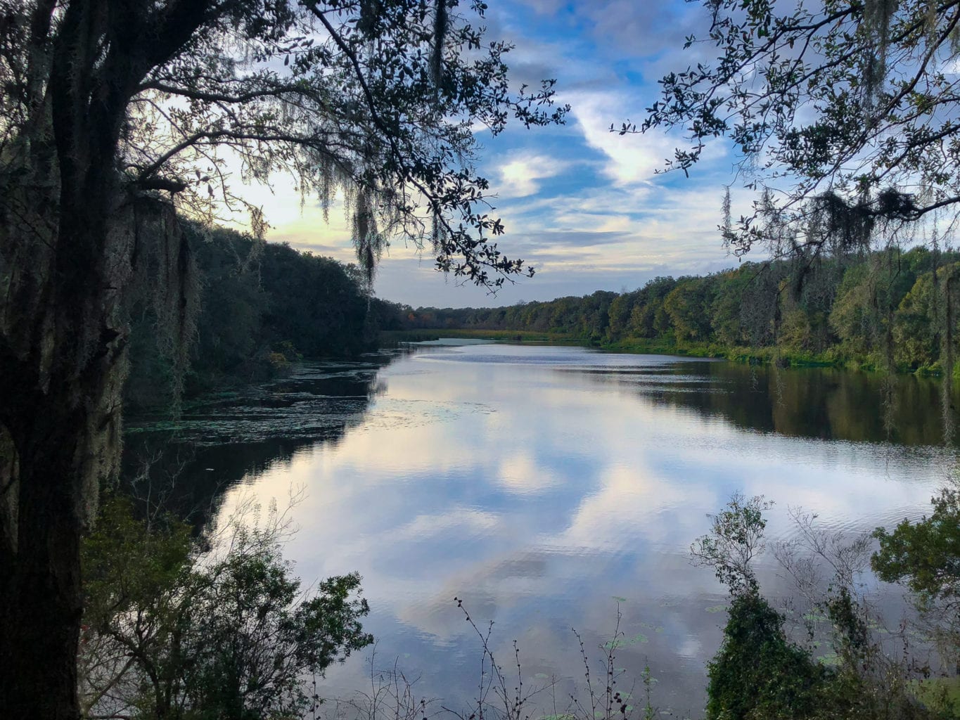 MTB Trail Balm Boyette MTB Trails - Tampa - Blog - Trailchew