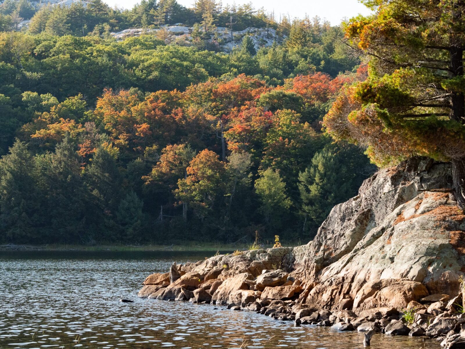 Canoeing in Killarney Provincial Park Blog Trailchew