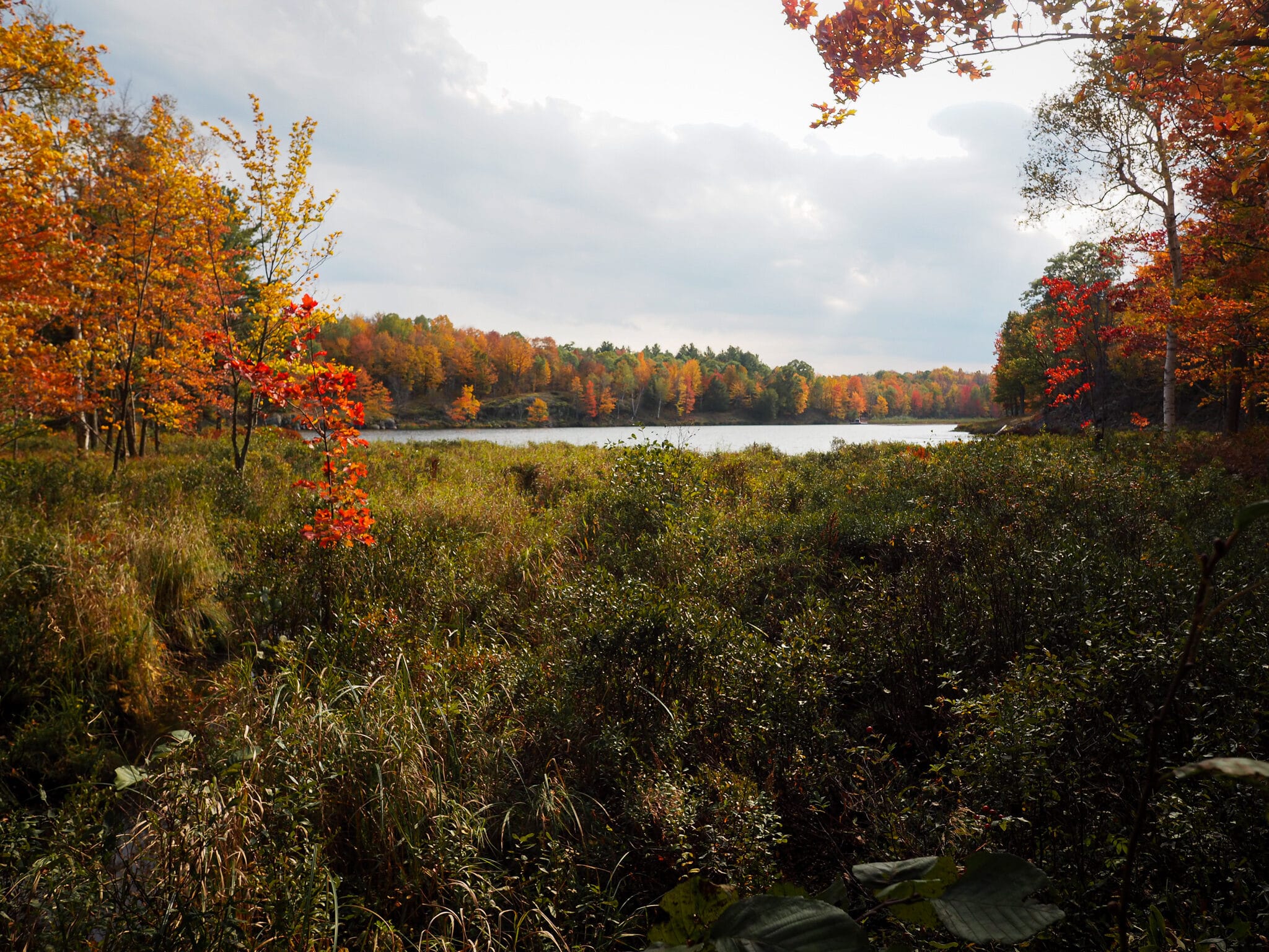 Backcountry Hike Frontenac Provincial Park - Little Clear Lake Loop ...